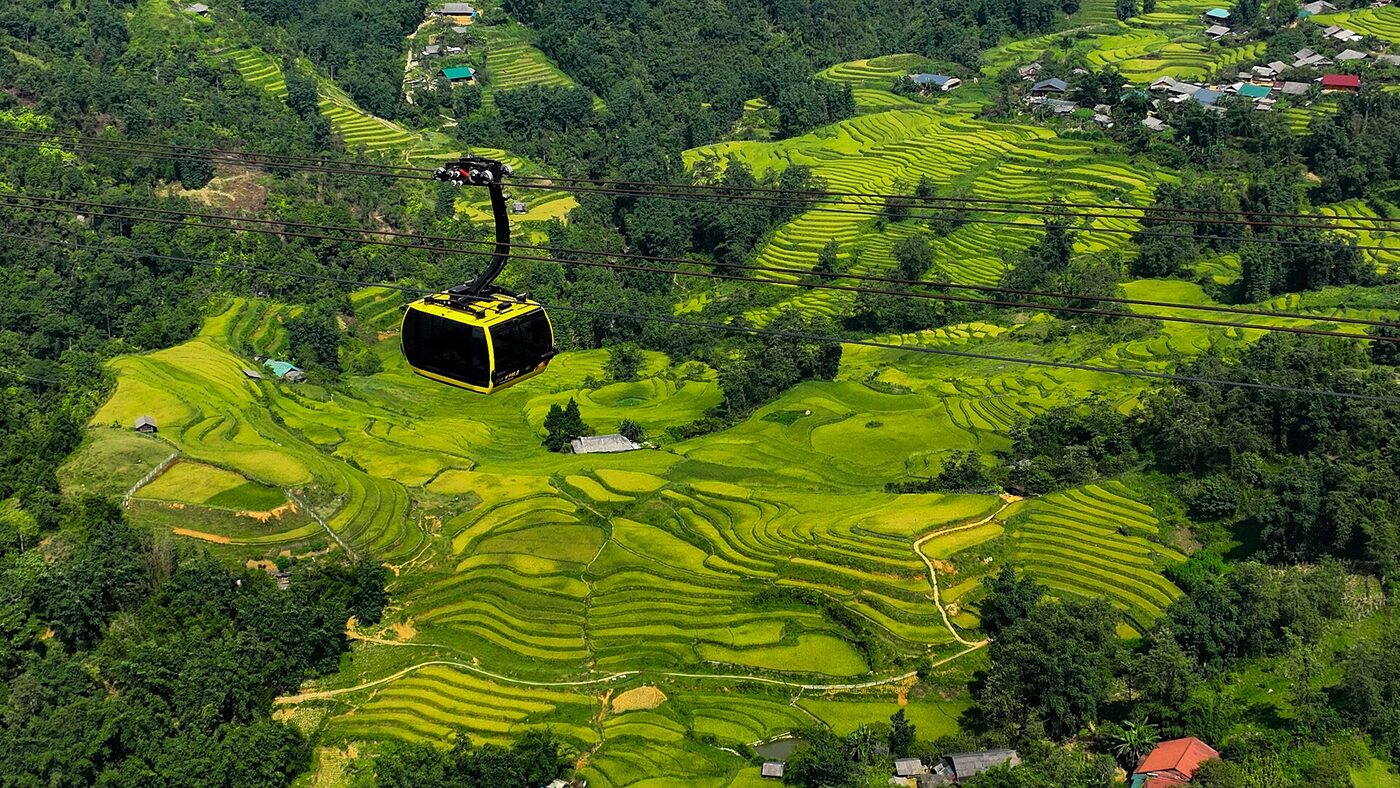 Terres cultivées